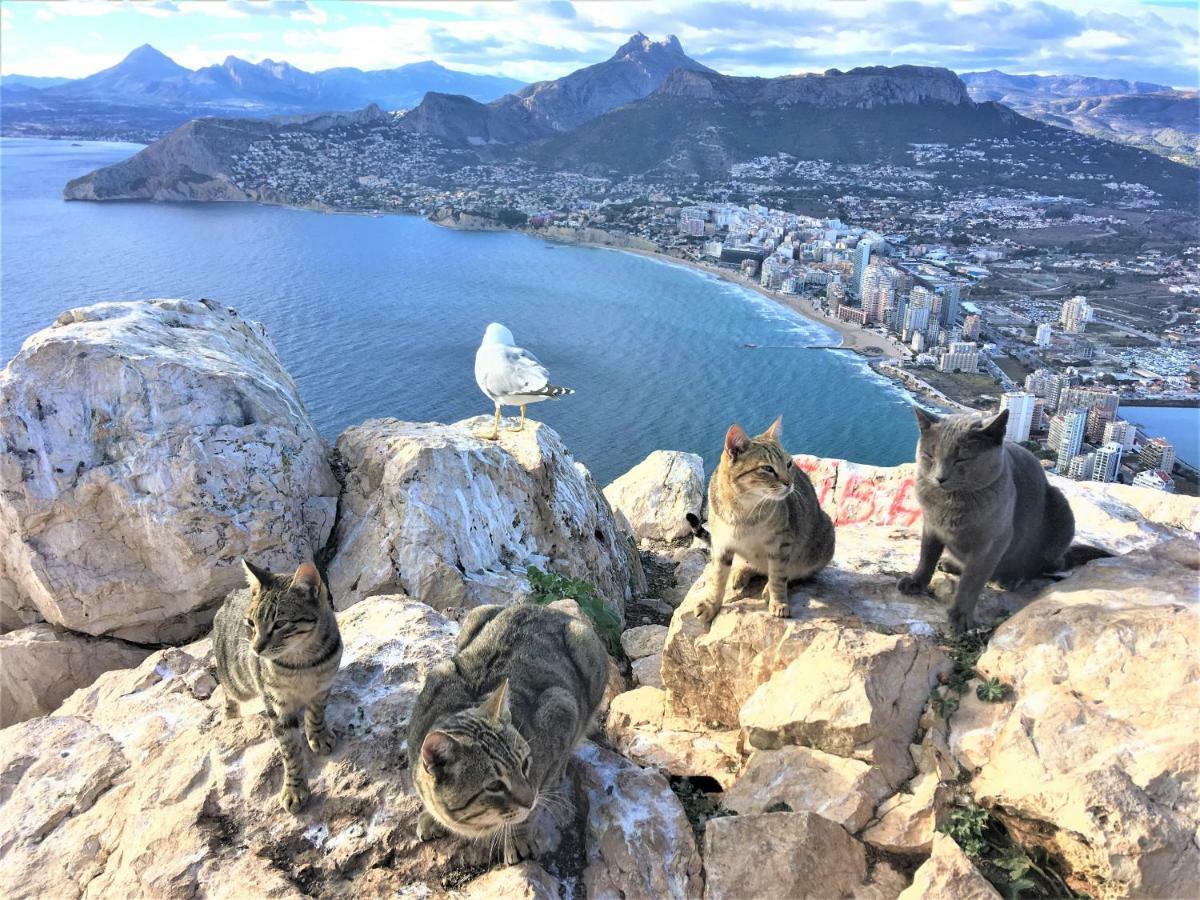 Villa Esmeralda Altea la Vieja Εξωτερικό φωτογραφία